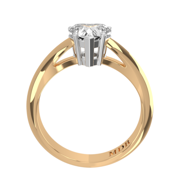 HS001 - Image 3