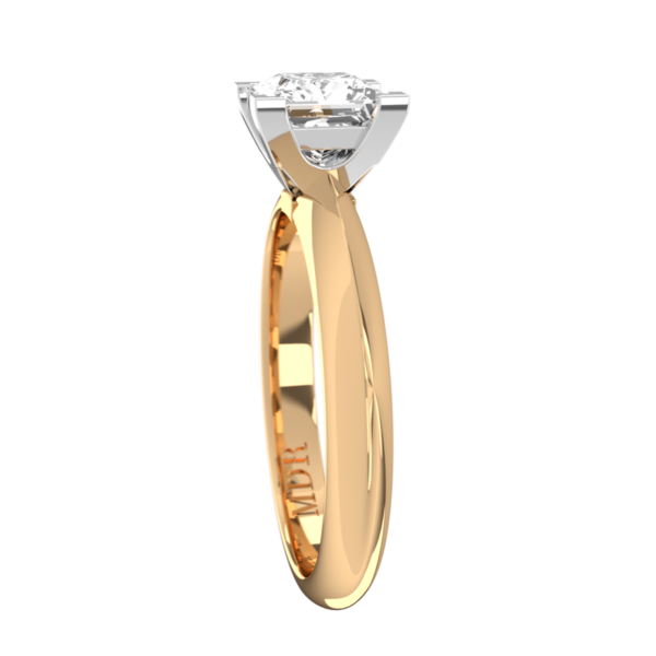 PC028 - Image 2