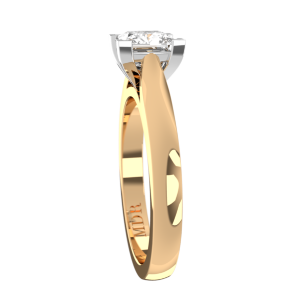 PC029 - Image 2