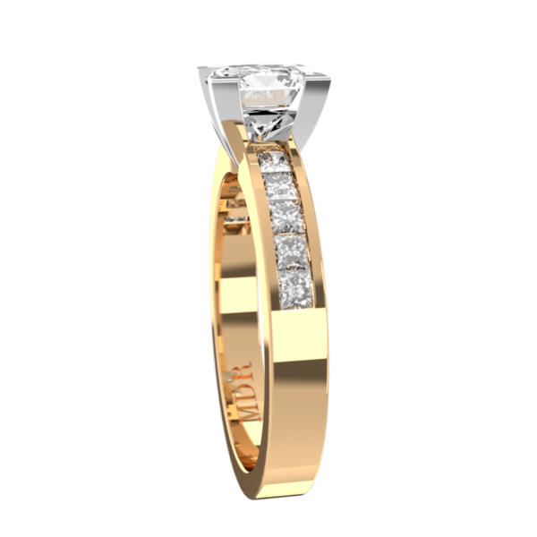PC010 - Image 2