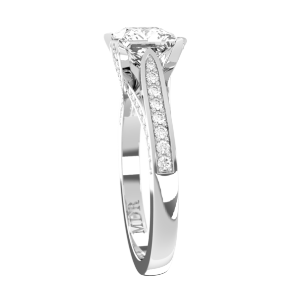 PC011 - Image 2